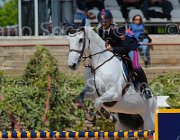 CHIMIRRI V TRAFFIC BOY CampITA2013- S5 0149 : CHIMIRRI VINCENZO, Campionati Italiani 2013, Cattolica, Horse Riviera Resort, TRAFFIC BOY, foto di Stefano Secchi ©